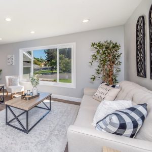 salon cocoon investissement immobilier locatif